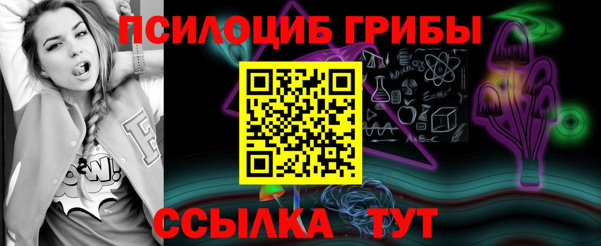 Ижевск  Псилоцибиновые грибы Psilocybine cubensis  Вход с VPN 